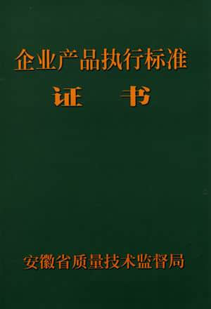 电子影像检查仪执行标准正本